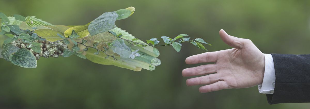 Sustainability_CORP_EnergyCuring.jpg