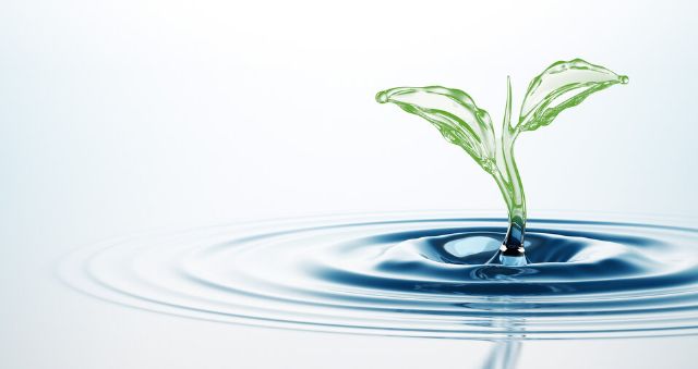 3135-header-957x508.jpg