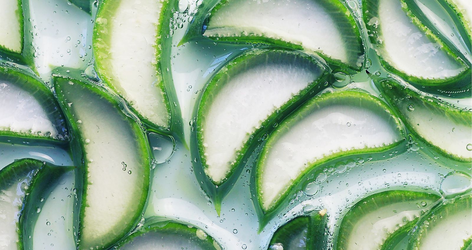 Aloe_1_957x508.jpg