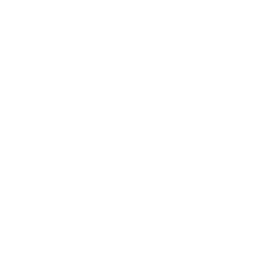 LinkedIn-weiss.png